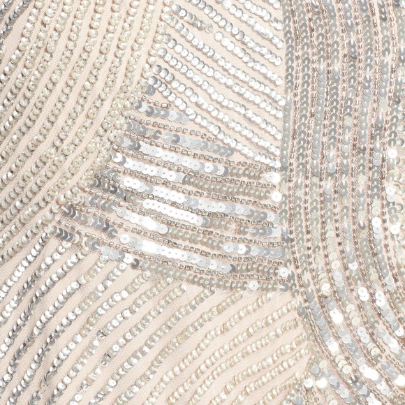 NEW Adrianna Papell‎ Embellished Cap-Sleeve Envelope Gown in Shell [ PETITE 8P ] - Picture 4 of 7